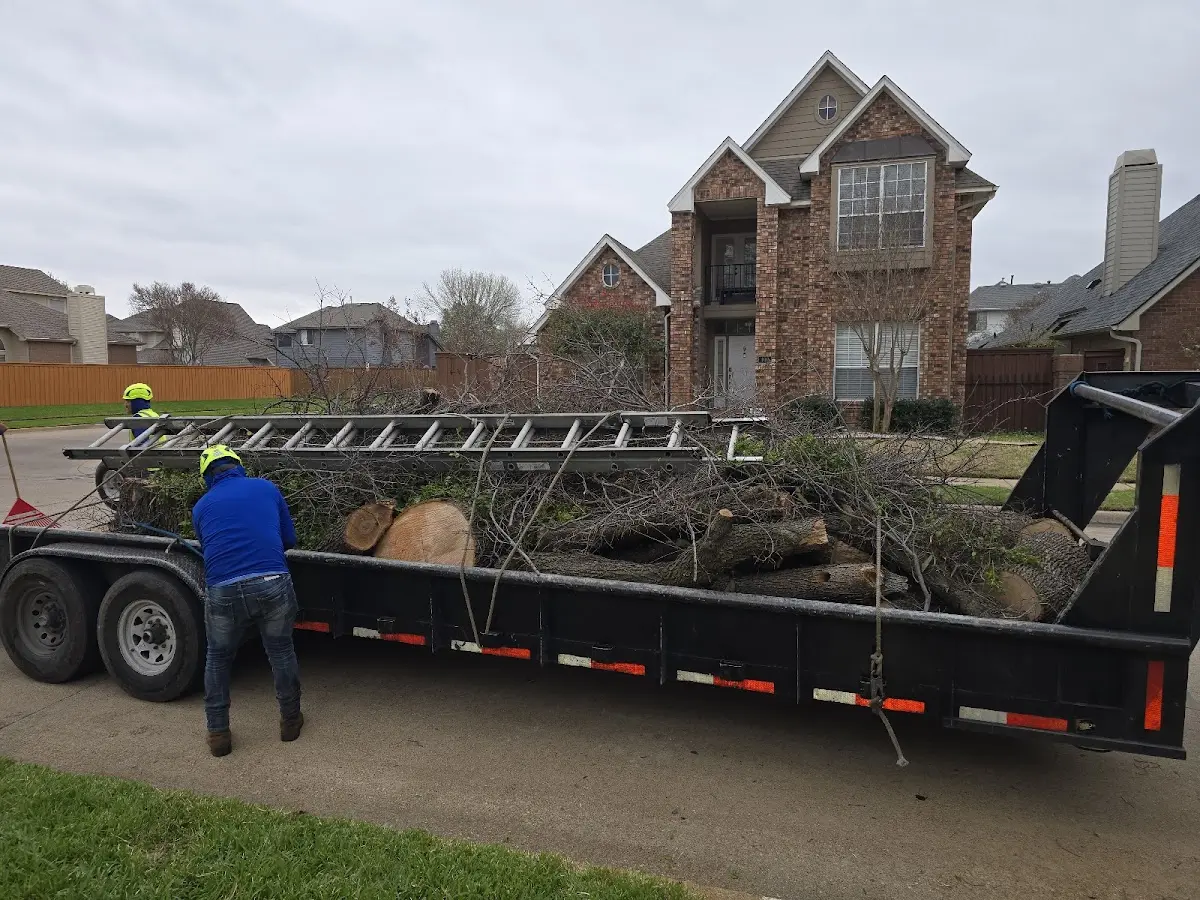 Expert Tree Removal with proper safety equipment in Gaylord